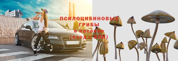 Альфа ПВП Беломорск