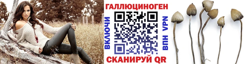 Купить закладки  Петушки  Галлюциногенные грибы мицелий 
