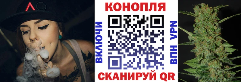 Купить где  Петушки  Конопля индика 